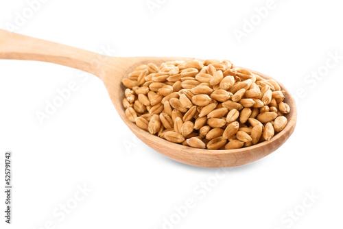 Wooden spoon with wheat grains isolated on white