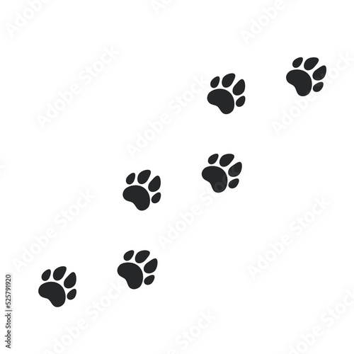 Dog and cat paw prints. A collection of dog footprints with claws. vector illustration.