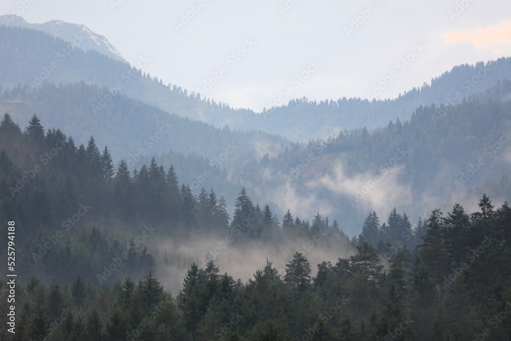 Misty forest in Gailtal Alps, Austria. Nature in Austria.