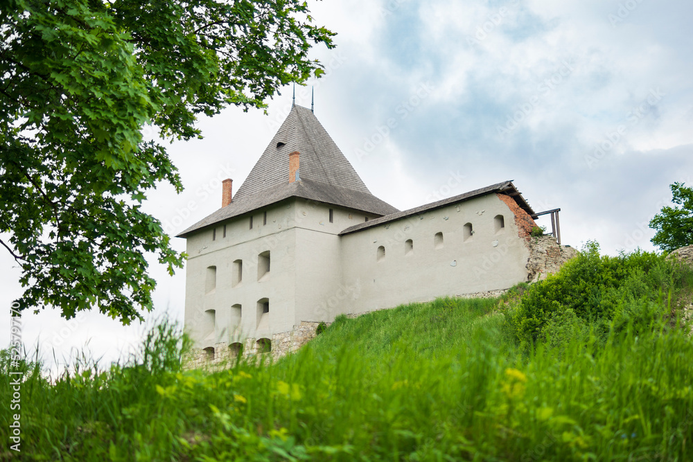 Castle of Halych at summer landscape, Ukraine