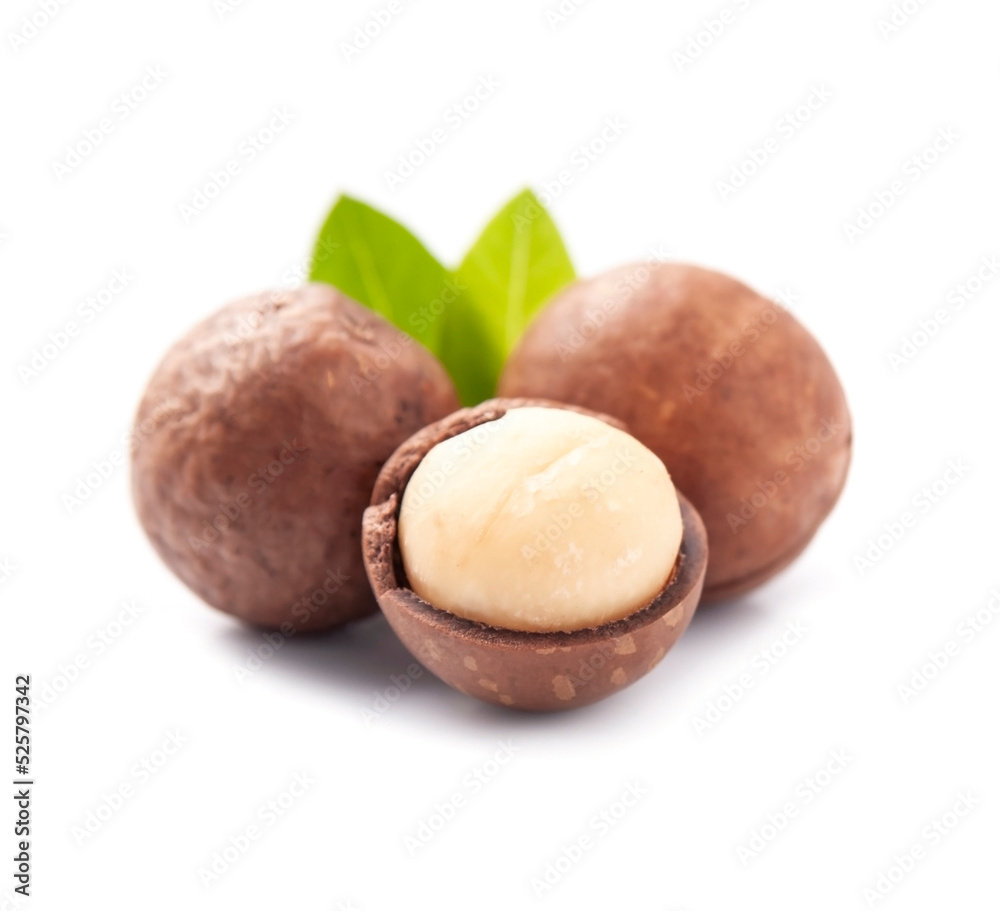 Macadamies nuts with leaves Macadamies nuts with leaves