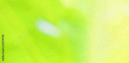 Blurred Abstract Green Nature Concept Background Design and Advertising Wallpaper website advertising banner