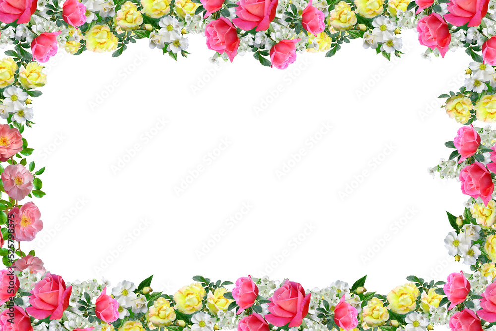 Flower border Frame Background, Flower Background, Floral Frame