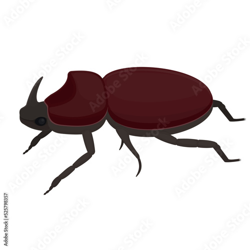 Insect beetle. Rhinoceros beetle, vector illustration