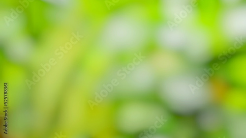 Blurred Abstract Green Nature Concept Background Design and Advertising Wallpaper website advertising banner