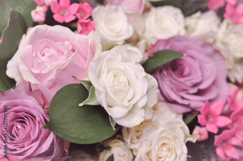 Close up of fresh pink white and violet roses bouquet  gift for women