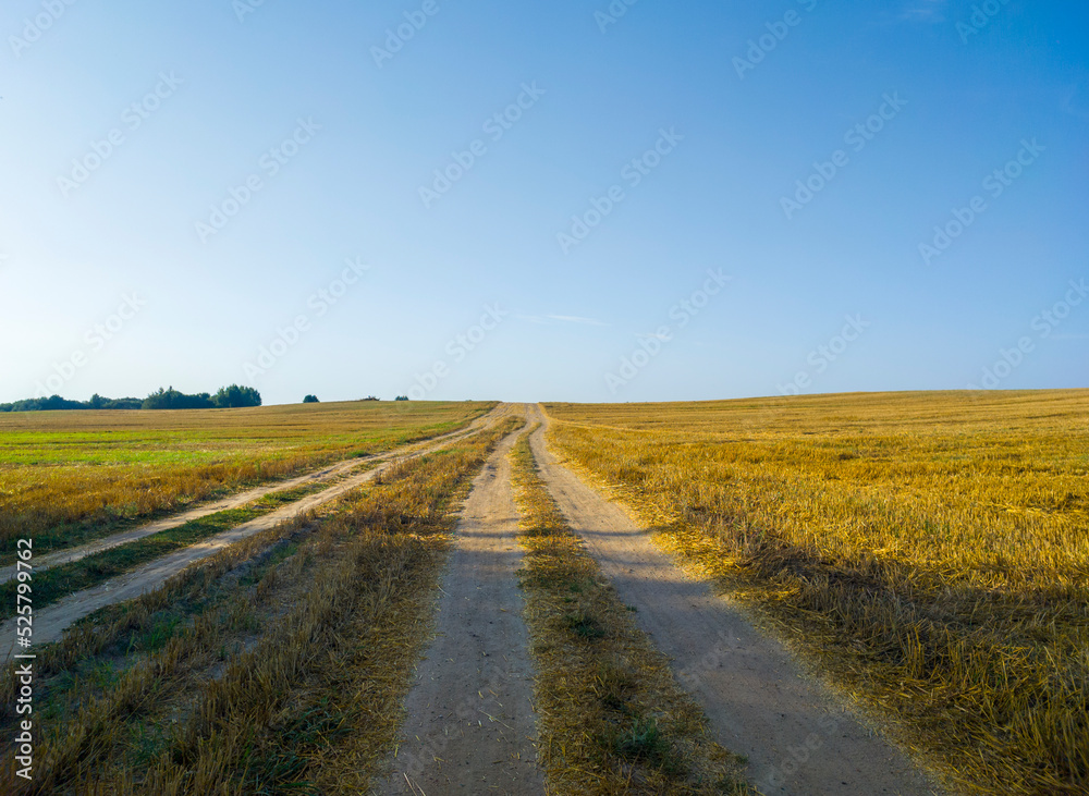 A road in a rural field in autumn. Agro landscape