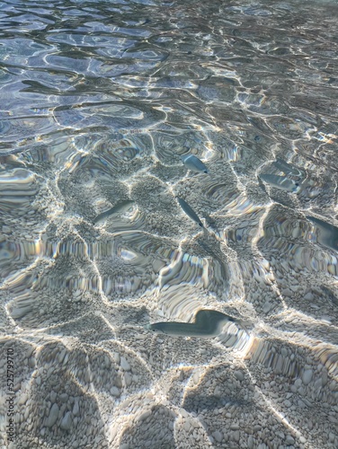 Wallpaper Mural Fish in the sea of ​​Cala Mariolu Sardinia
 Torontodigital.ca