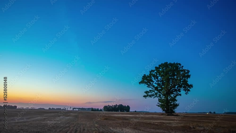 Static shot of ripe wheat field during evening time in timelapse. Getting dark.