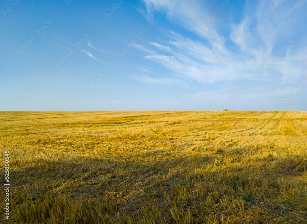 Beautiful rural landscape. Fields after harvesting. Yellow and blue background