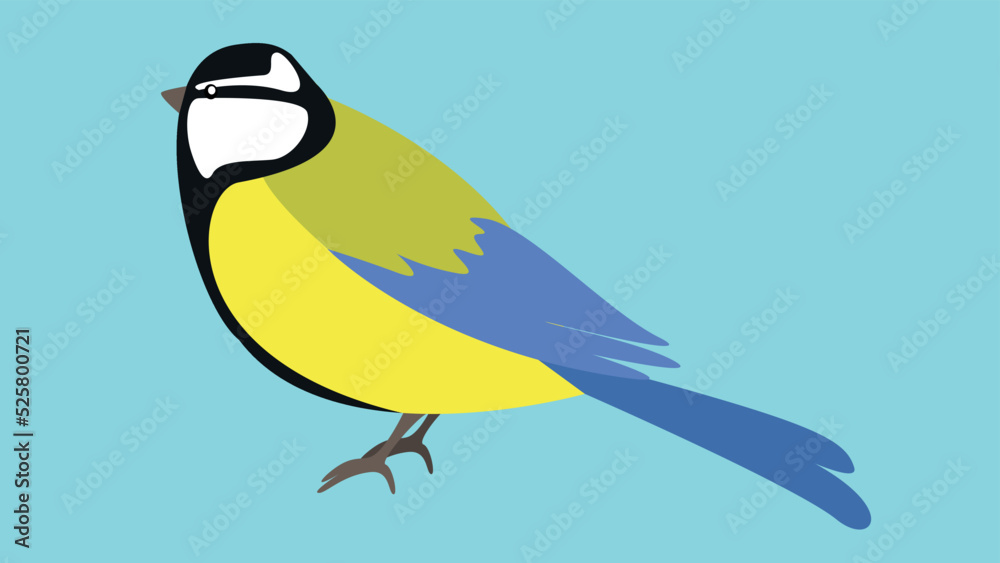 Obraz premium titmouse on a blue background