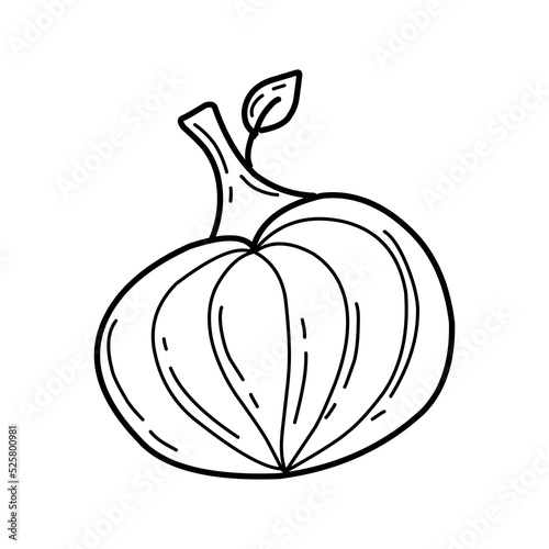 Pumpkin cartoon in doodle style. Halloween Traditional holiday.