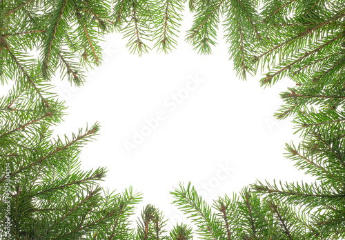 Natural Christmas frame made of fresh green fir branches on white. Copy space. Top view. Mock up.