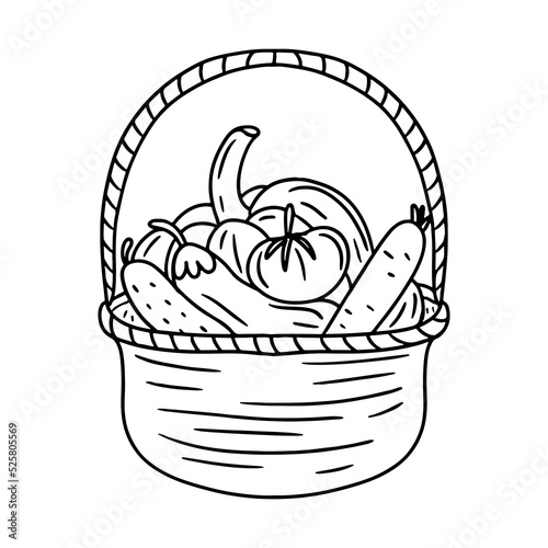 Ripe vegetables in Wicker basket. Vector illustration isolated on white background. Autumn harvest of organic vegetables. Hand drawn. Doodle style.