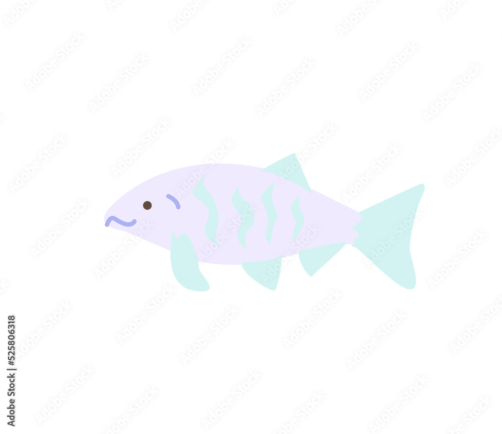 salmon salmon
