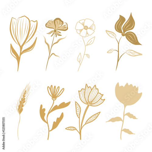 Set of flowers and leaves in boho style doodle elements