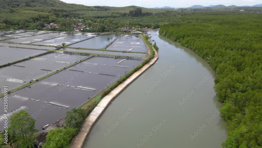aerial view of river inside the mangrove forest move to sea with beautiful cloud aerial view of river inside the mangrove forest move to sea with beautiful cloud