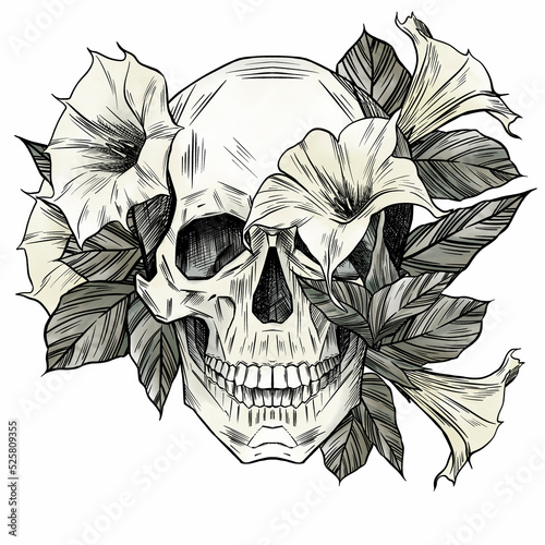 Cuadro en lienzo Watercolor skull and datura flowers print