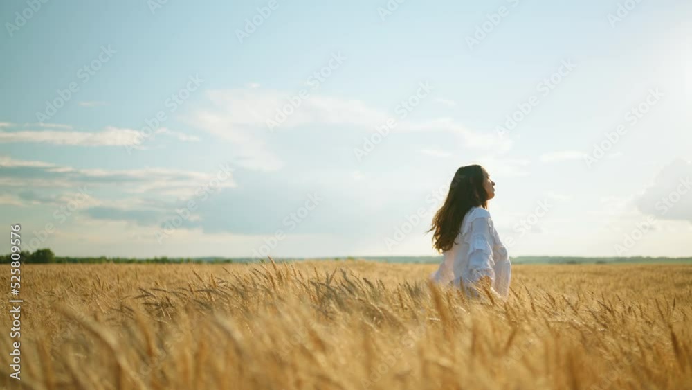 lovely brunette woman in beautiful golden wheat fields in summer day, amazing sunshine lovely brunette woman in beautiful golden wheat fields in summer day, amazing sunshine