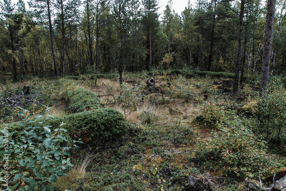 The ruins of Skoganvarre field hospital from World War II in the Finnmark region of Norway, urbex The ruins of Skoganvarre field hospital from World War II in the Finnmark region of Norway, urbex