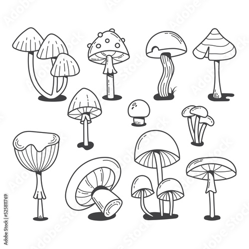 Different mushrooms drawn in doodle style. Black and white line art illustration in a hand-drawn style.
Pictures are great to use as a design element for prints, banners, posters, stickers, labels