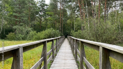 wooden footbridge passing through peat bog and swamp