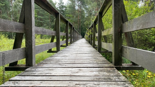 wooden footbridge passing through peat bog and swamp
