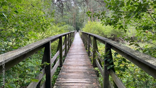 wooden footbridge passing through peat bog and swamp