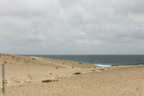 desierto y mar unidos en el tr  pico