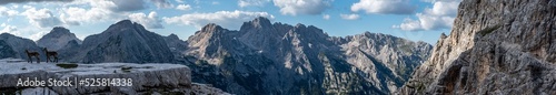 Bergpanorama mit Gams Kinder