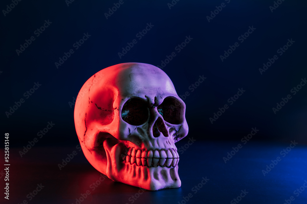 Side view of model of the human skull in neon red and blue lights on the dark background. Concept of terror, physiology learning and drawing. Halloween decor concept. Selective focus, copy space Side view of model of the human skull in neon red and blue lights on the dark background. Concept of terror, physiology learning and drawing. Halloween decor concept. Selective focus, copy space