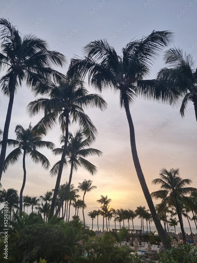 Obraz premium Amazing landscapes of Aruba Views of the Aruba island 