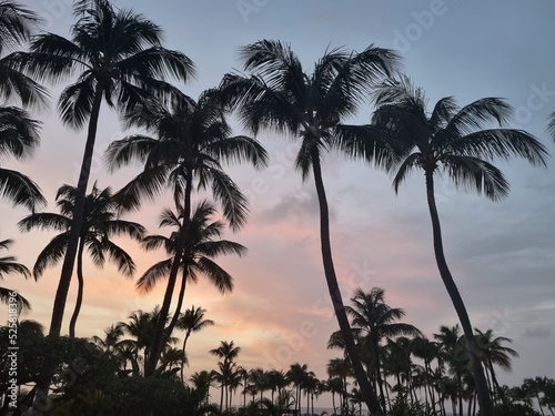 Amazing landscapes of Aruba Views of the Aruba island 