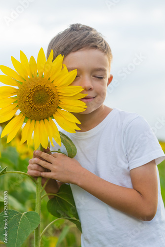 portrait of child in sunflower field. Kids happiness concept