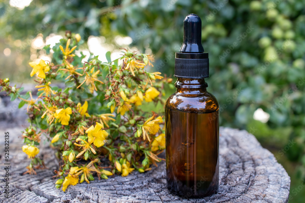 Amber glass dropper bottle of face serum or essential oil and Hypericum medicinal plant yellow flowers on a stump wooden background outdoor. Natural organic spa cosmetic concept Amber glass dropper bottle of face serum or essential oil and Hypericum medicinal plant yellow flowers on a stump wooden background outdoor. Natural organic spa cosmetic concept