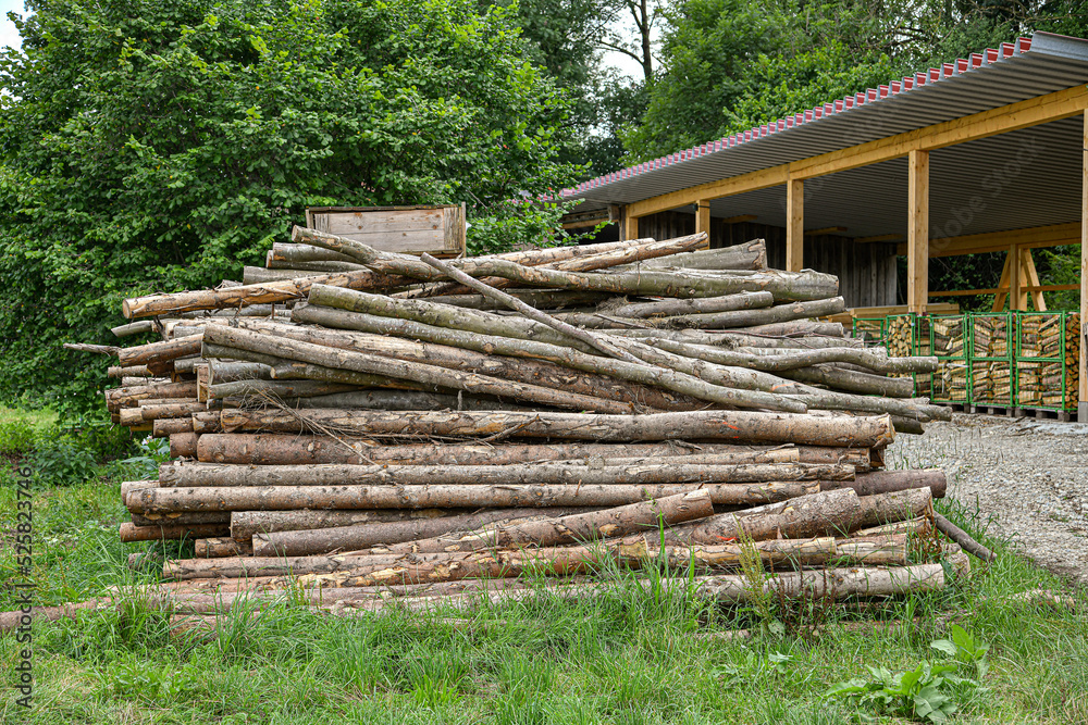 Logs in a warehouse at a sawmill for chopping and sawing for firewood. Logs in a warehouse at a sawmill for chopping and sawing for firewood.