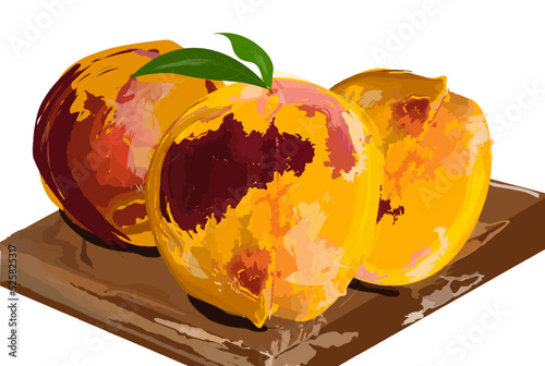 Peach fruits harvest in fall autumn season Vector watercolor