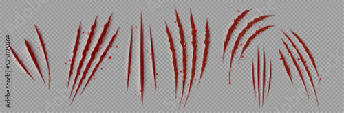 Bloody claw marks, realistic png set. 3D vector illustration of wild animal scretches on transparent background. Red signs of dangerous beast or scary monster attack. Torn wound caused by sharp talon photo