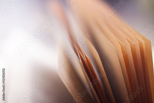 Pages of the book are close-up with artistic focus. Macro photography