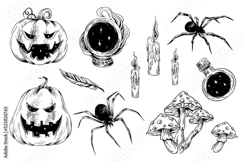 Set of vector halloween elements. Collection halloween and magic hand drawn doodle. Autumn coloring page with spooky objects: Pumpkins, hat, mushrooms, spiders, magic ball, candles, potion. 