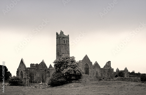 Quin Abbey, County Clare, Ireland. Founded by the Franciscan order in 1433.
