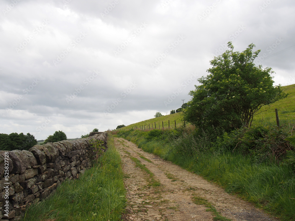 Narrow dirt lane running alongside a dry stone wall surrounded hillside meadows in calderdale west yorkshire