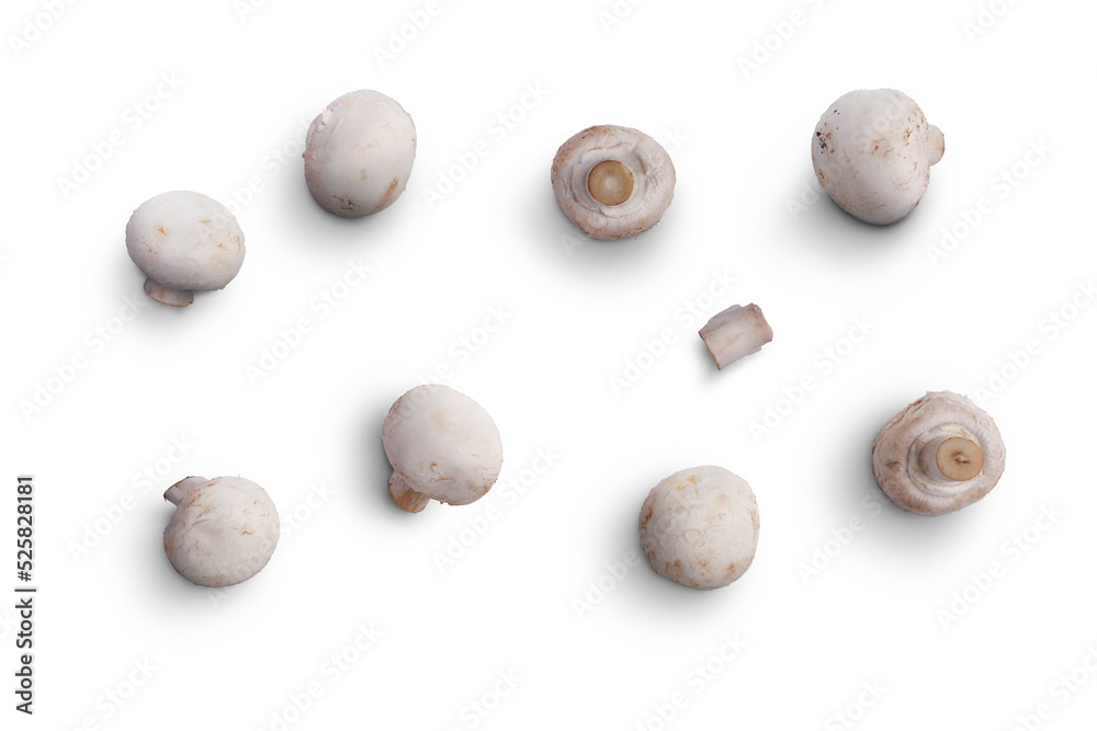 A collection of Champignon, white button mushrooms isolated against a flat background.