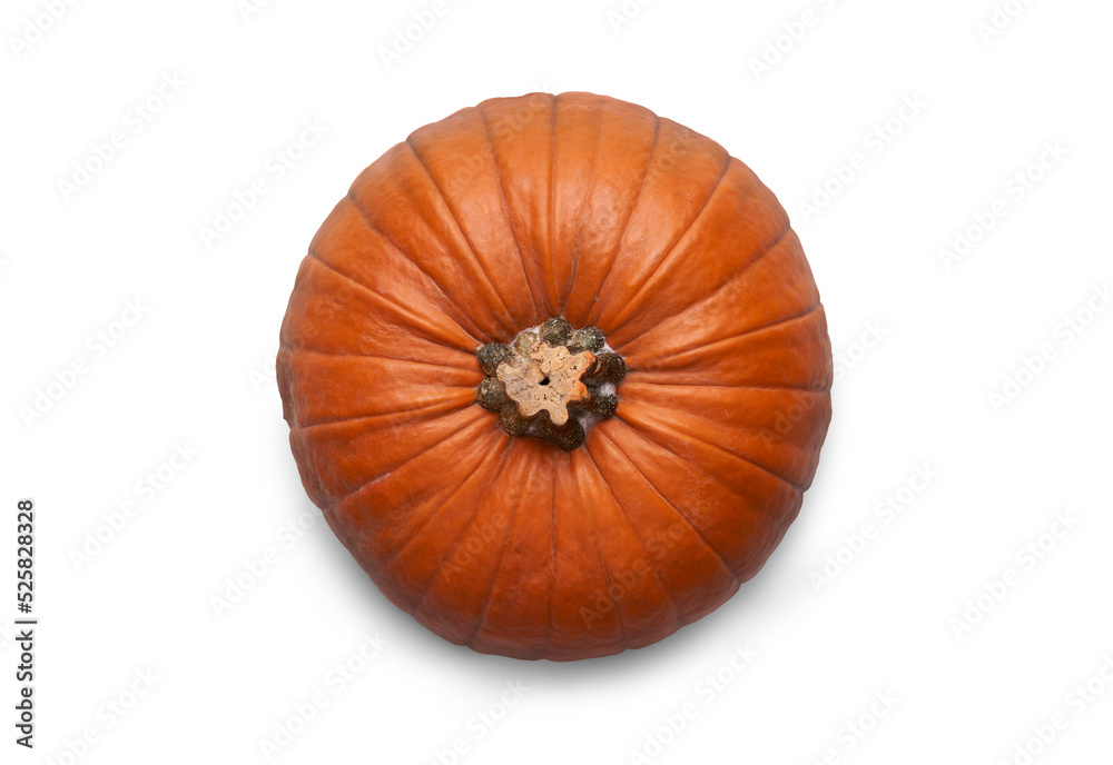A top view of a ripe orange pumpkin isolated on a flat background.