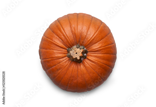Obraz na płótnie A top view of a ripe orange pumpkin isolated on a flat background. w salonie
