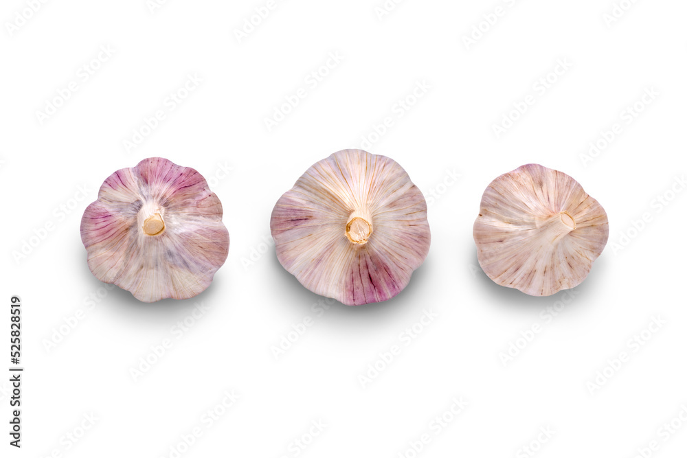 Garlic bulb Isolated against a flat background.
