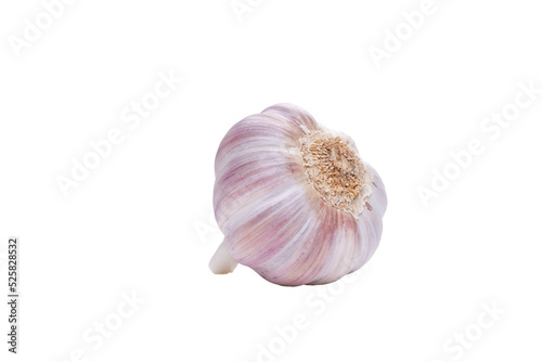 Obraz na płótnie Garlic bulb Isolated against a flat background. w salonie
