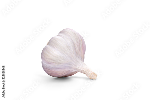 Obraz na płótnie Garlic bulb Isolated against a flat background. w salonie