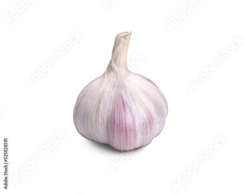 Garlic bulb Isolated against a flat background.
