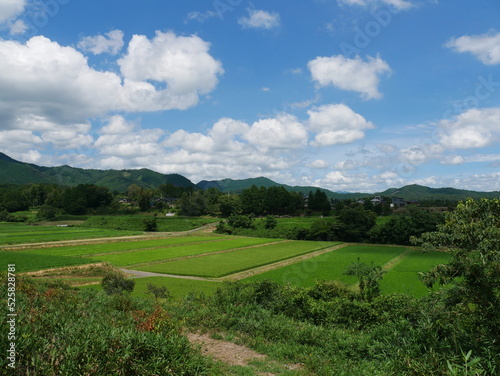 田園風景と山